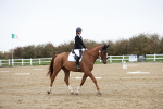 SBM_004528