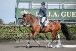 Dressage_29-09-2018-4