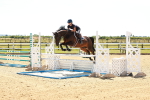 SBM_006629