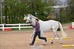 Wednesday Trot Up portfolio