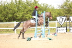 SBM_001998