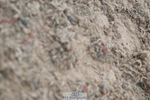 240609A-105333-04189