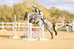 SBM_004090