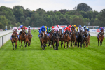 260823-Race 4-Absurde-0671