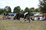 WJ6_5643