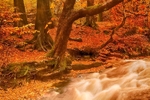 20121028-_MG_0691_HDR