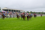 130724-Race 5-East Tyrone-7589