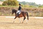SBM_000087