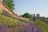 York City Walls in Summer