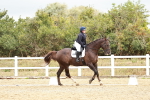 SBM_002952