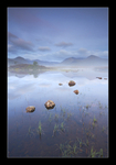 Misty Blue