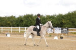 SBM_003264