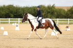 SBM_015683