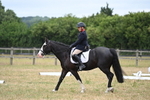 WJ6_9040
