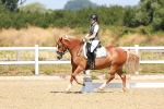 SBM_009808