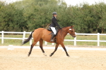 SBM_00975