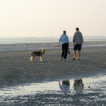 West Wittering - 31