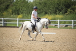 SBM_009736