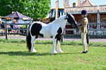 SBM_11691
