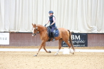 SBM_008379