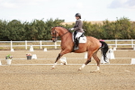 SBM_008617