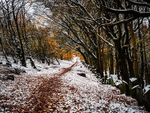 Otley Chevin