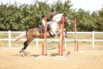 SBM_000701