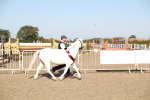 SBM_00165