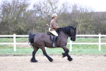 SBM_007042