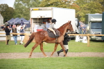 SBM_54264