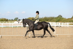 SBM_02250