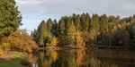 Early Autumn Reflections