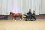 SBM_000636