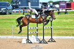 Cls 3 Foxhunter portfolio