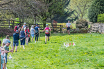 The Finish-68