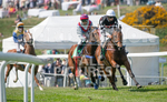 Guernsey Race Club Horse Racing 2018-2