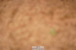 240526A-131818-08313