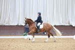SBM_020742