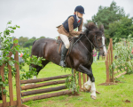 Dunblane show-395