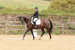 SBM_001433