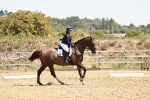 SBM_002731