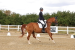 SBM_006290