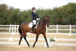 SBM_002891
