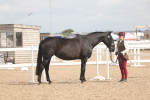 SBM_04910