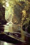 Fairy Glen 4