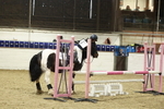 AJG_0924_1