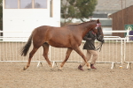 SBM_07715
