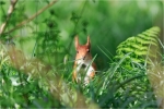 I See You