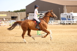 SBM_001623
