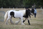 WJ6_6397